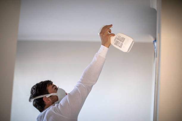 Best Emergency Mold Removal  in Nicholls, GA