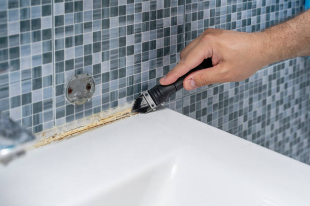 Best Local Mold Removal Service  in Nicholls, GA