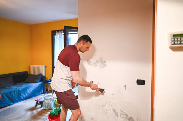 Best Commercial Mold Removal  in Nicholls, GA